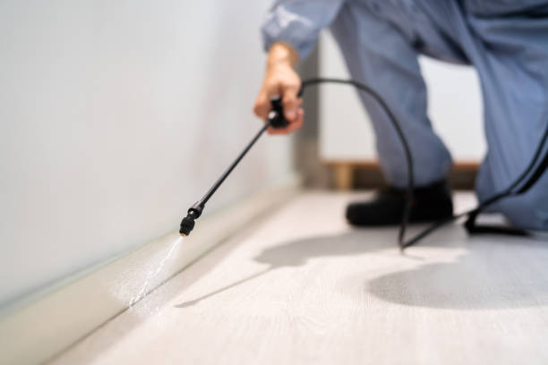 Licensed Exterminator service in Williamson, WV - Show Me Pest Control