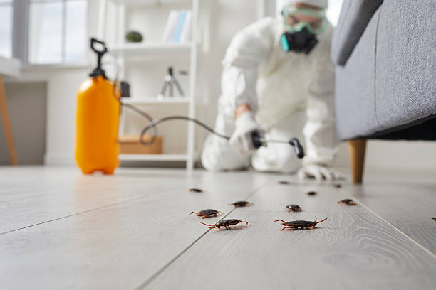 Post-Treatment Bed Bug Interceptor Monitoring in Williamson