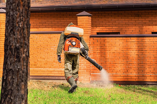 Bed Bug Clearance Verification and Documentation in Williamson